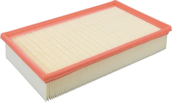 Mann Filter - C311521 - Air Filter Element