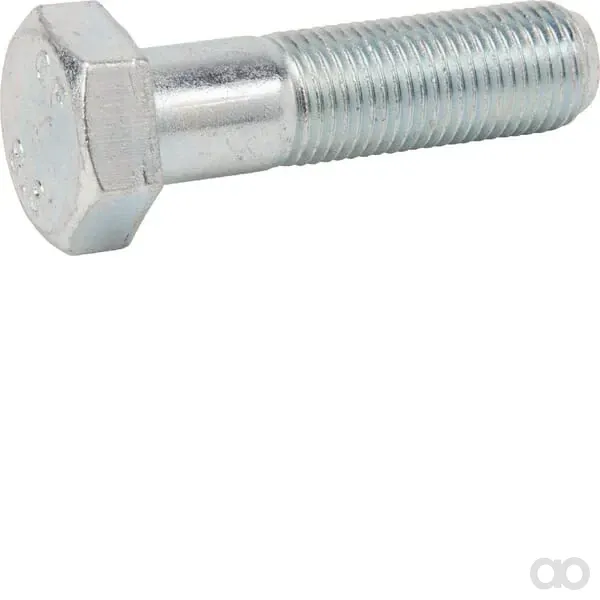 Maschio