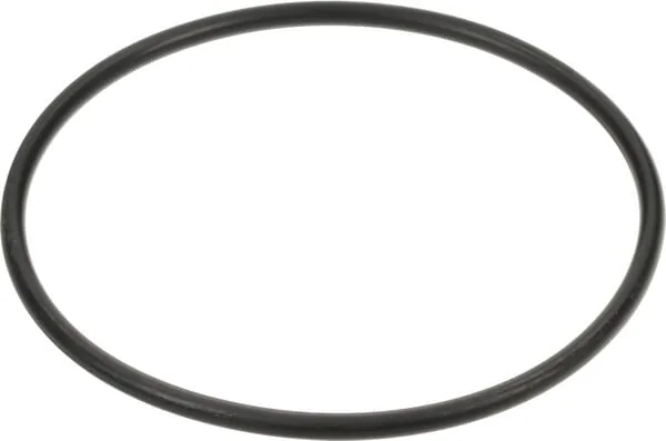 Maschio Gaspardo - F03010606R - Oil Seal Maschio Gaspardo