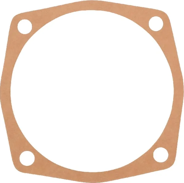 Maschio Gaspardo - M24100125R - Gasket 0.5 mm Maschio Gaspardo