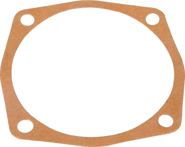 Maschio Gaspardo - M27100134R - Gasket 0.3 mm