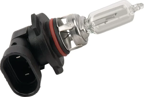 Massey Ferguson - 6255951M1 - Bulb, 12V 60W