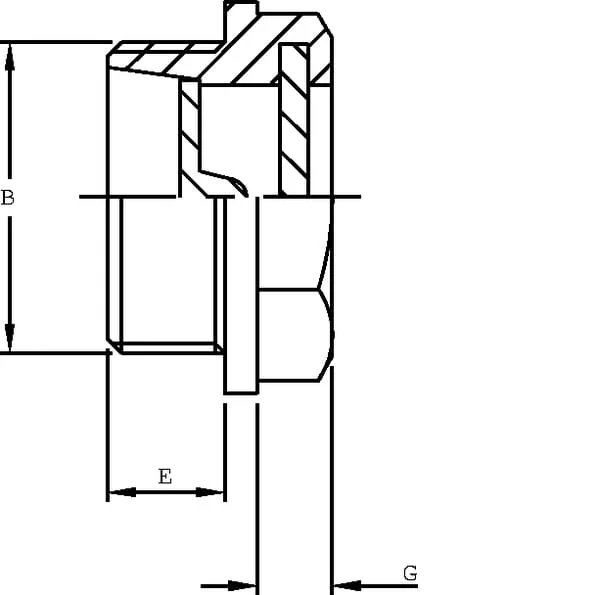 MP Filtri - LCP24N - Level Gauge 1.1/2" BSP