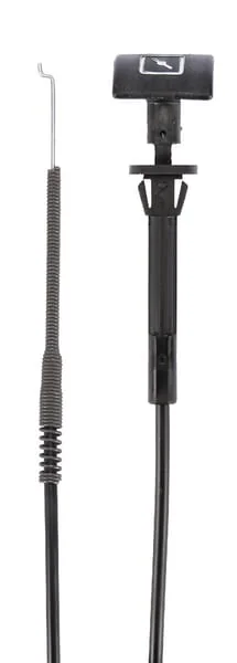 MTD