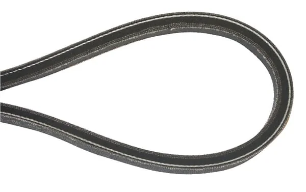 Murray - N318372 - DRIVE BELT 15.9X2172MM
