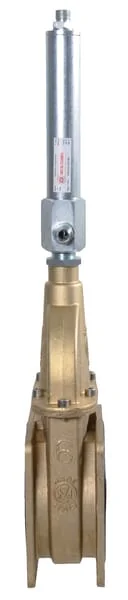 MZ - 8000572DW - Valve 8" With Cylinder