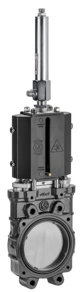 MZ