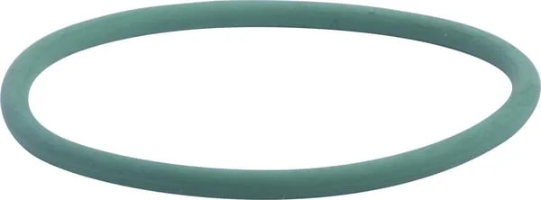 New Holland - 17290081 - Water Pump O-Ring