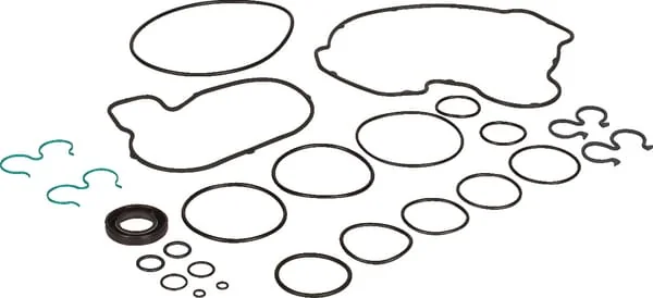 New Holland - 9967883 - Seal Kit CCLS Pump