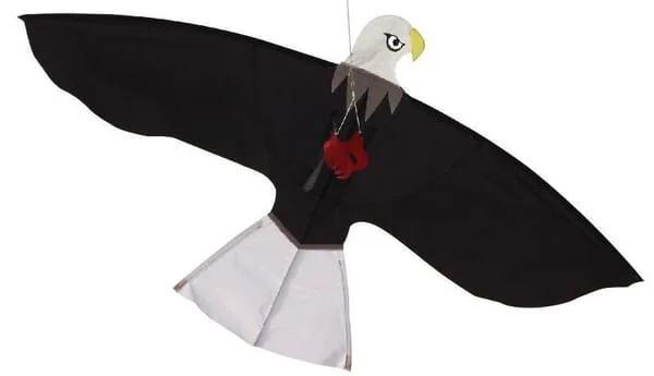 Non Branded - SBK0021 - Bird Scarer Hawk Kite Without Pole