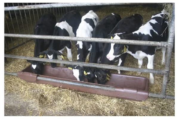 OK Plast - 1620100020 - Trough 200 cm 100 L Model 2000