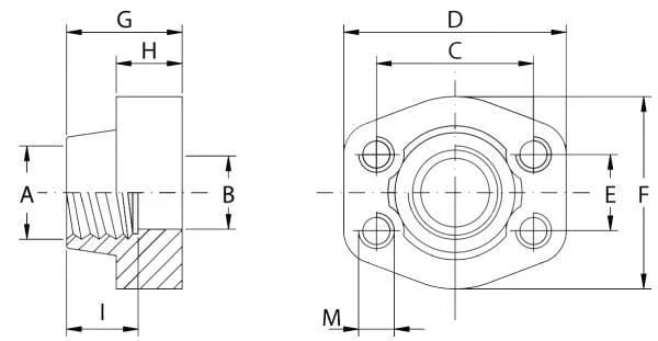 Oleo Tecnica - GFS624GU24 - Counter-Flange SAE6000 1-1/2