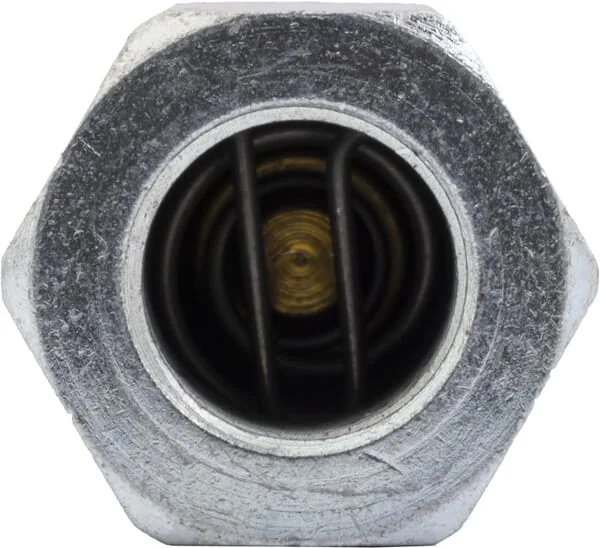 Parker - 232018TE - Parker 1/8 Plug Tema