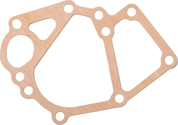 Perkins - 145996900 - Pump Gasket