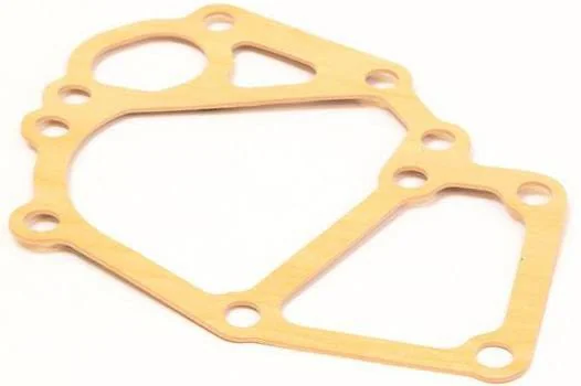 Perkins - 145996900 - Pump Gasket