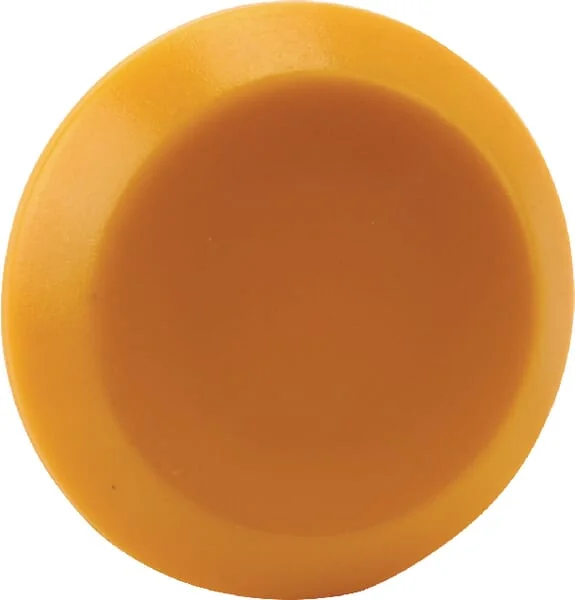 Pneutron - 11310000PN - Emblem, Blank, Round, Yellow