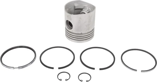 Raico - 1909866N - Plunger Complete D 85mm Fiat
