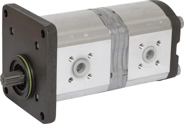 Raico - 47129338N - Double Pump 22+14