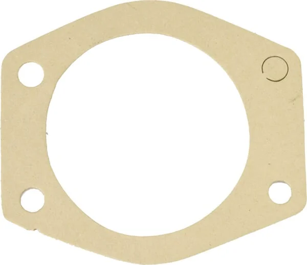 Raico - U5MW0096N - Water Pump