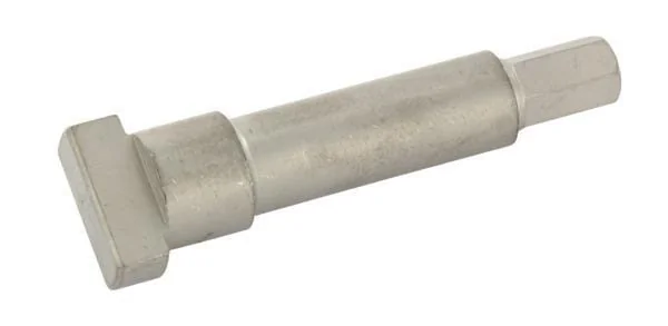 SAIP - LAV9BUL6DP100 - Hexagonal Inner Part For DP100