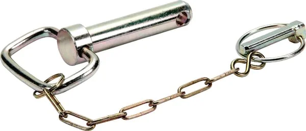 Sauermann