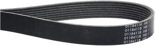 SDF - 01184118 - V-Belt