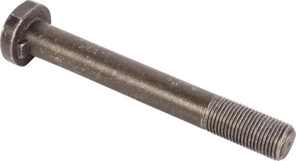 SDF - 04425895 - Bolt