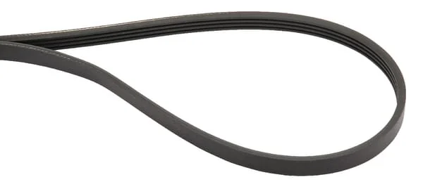 SDF - 04452089 - V-Belt