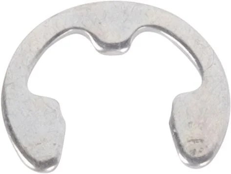 SDF - 214300077 - Snap Ring
