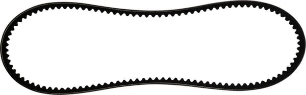 SDF - 24119146010 - Belt AV10 L=835 mm