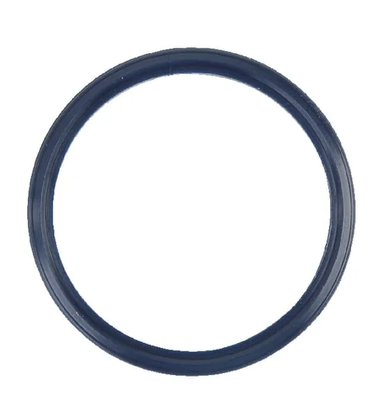 SDF - 4305924 - Seal Ring SDF