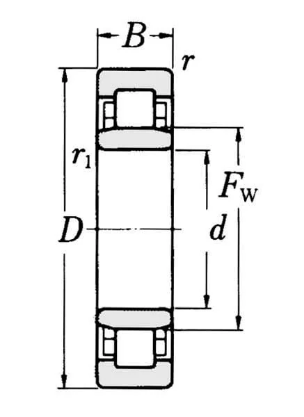 SKF - NU1006 - Bearing