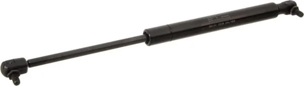 Stabilus