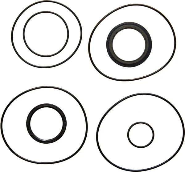 Tanco - 1330077 - Tower Motor Seal Kit AS100