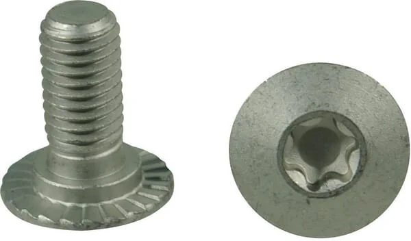 Trioliet - 84925 - Screw M10x23 10.9