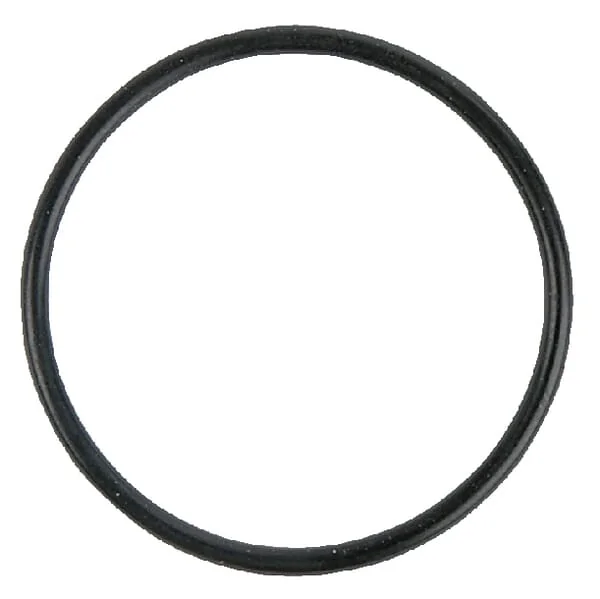 O-ring