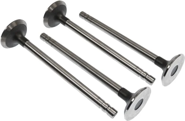 Vapormatic - VPA1571 - Exhaust Valve (x4)