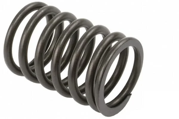 Vapormatic - VPA2000 - Valve Spring (x8)