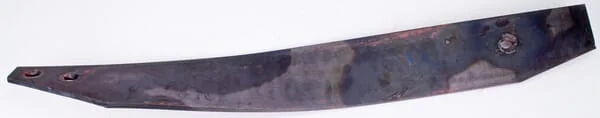 Vogel Noot