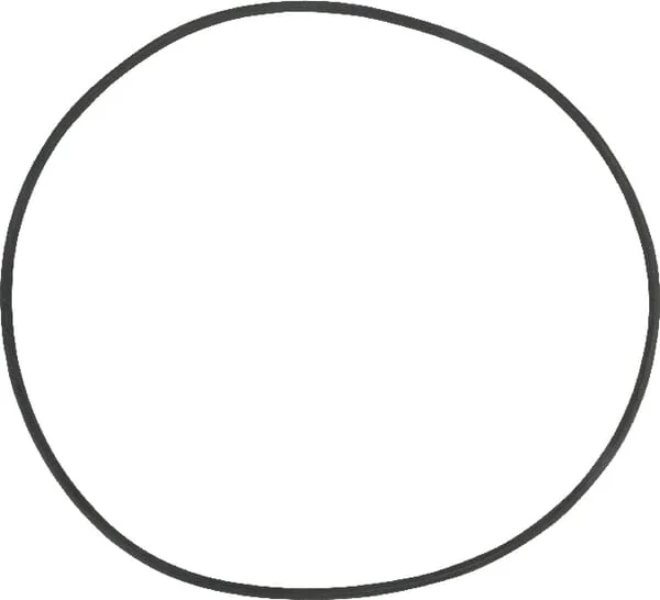 Vogelsang - DOR035 - O-Ring, VX 136 Q