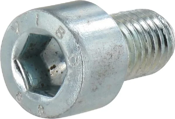 Vogelsang - NSI017 - Hex Socket Bolt M10x16 8.8