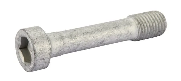 Vogelsang