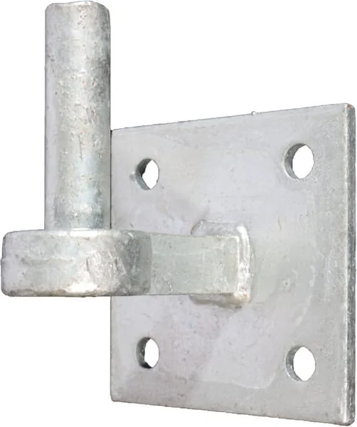 WAELBERS - WAE81831305 - Hook on Plate Diameter 19x65 100x100