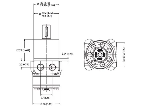 White - OMPWX31511185885 - Hydraulic Motor Ompw315