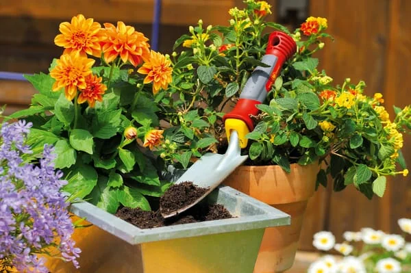 Wolf Garten - 2916000WO - Planting Trowel LU-2P