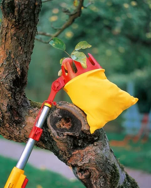 Wolf Garten - 71ACA008650 - Rg-M Fruit Picker
