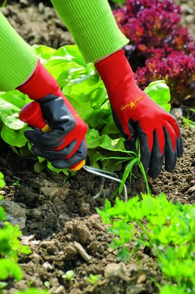 Wolf Garten - 7760015 - Bed Gloves Soil, GH-BO 8