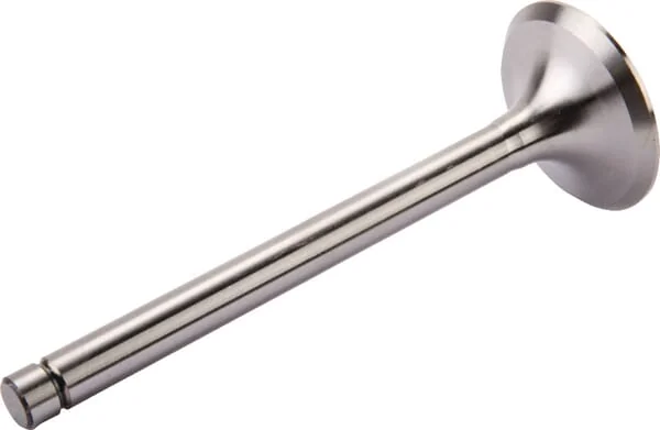 Zetor - 69010555 - Zetor Intake Valve