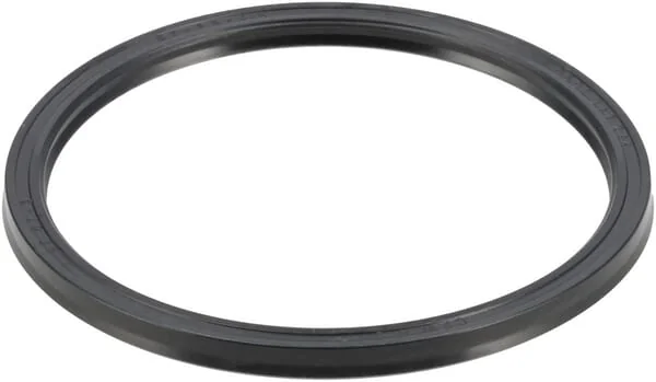 ZF - 0501312244 - Sealing Ring