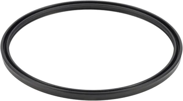 ZF - 0501313668 - Sealing Ring